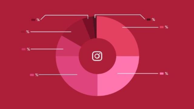 The Impact of Instagram Followers on Brand Reputation