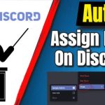 How to Give New Members Roles on Discord Automatically